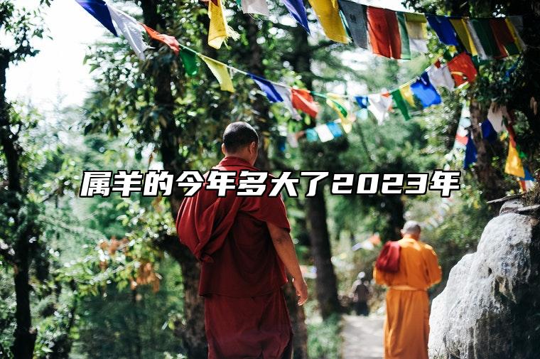 属羊的今年多大了2023年 五行金属性的属羊人