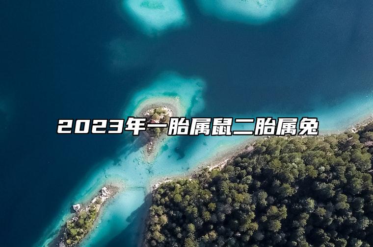 2023年一胎属鼠二胎属兔 2023属兔金箔金命缺金