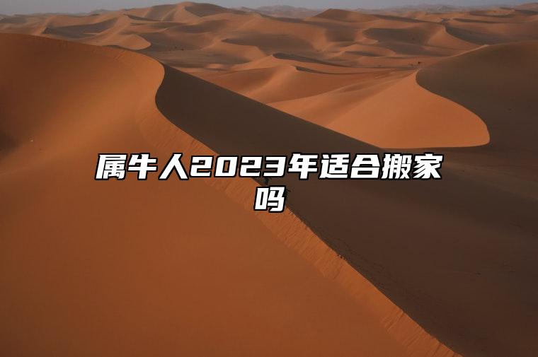 属牛人2023年适合搬家吗 属牛人是2023年适合搬家的生肖吗