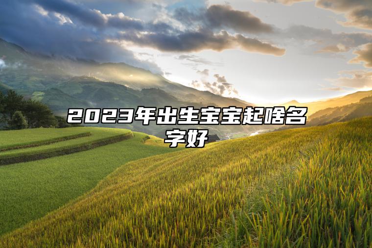 2023年出生宝宝起啥名字好 2023年属兔本姓陈取名叫什么名字