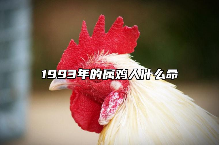 1993年的属鸡人什么命 1993年属鸡的人是什么命