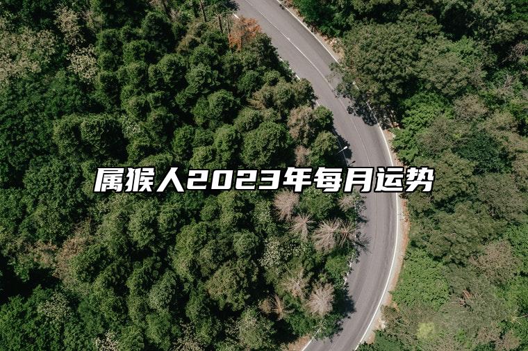 属猴人2023年每月运势 正月逢岁干癸水伤官相生