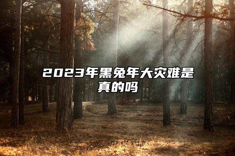 2023年黑兔年大灾难是真的吗 兔年会不会有灾难