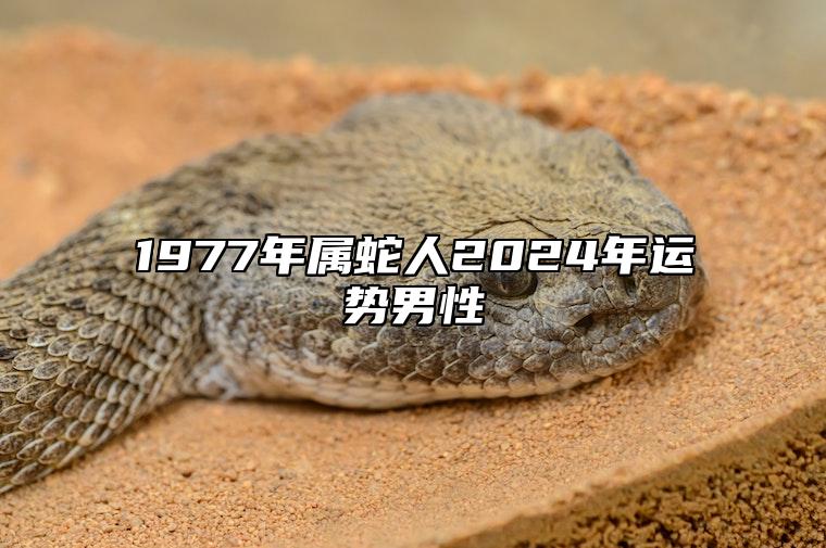 1977年属蛇人2024年运势男性 77年蛇2023年有三喜