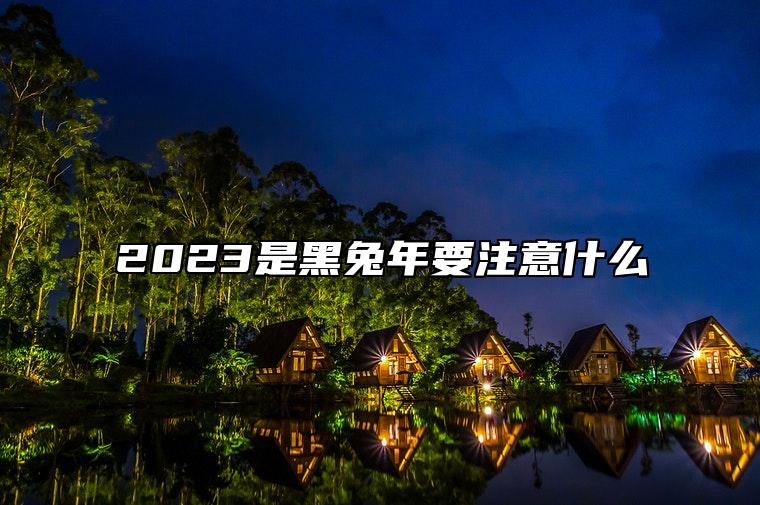 2023是黑兔年要注意什么 2023年本命年的建议分析