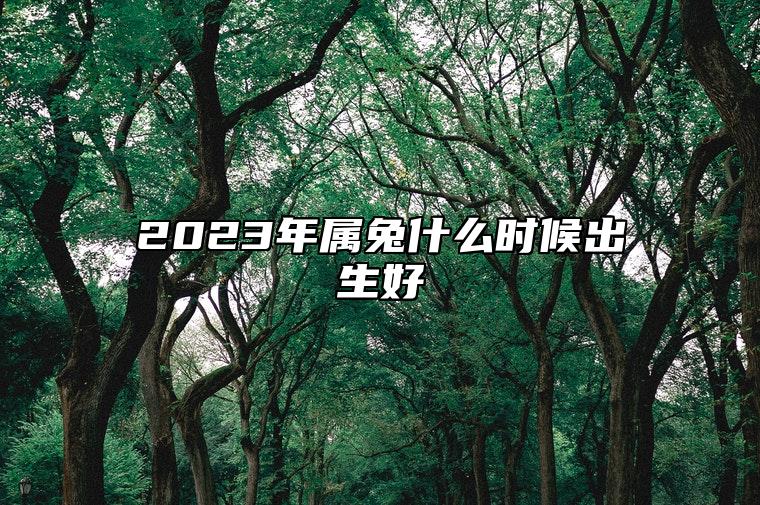 2023年属兔什么时候出生好 兔子几月出生命最好