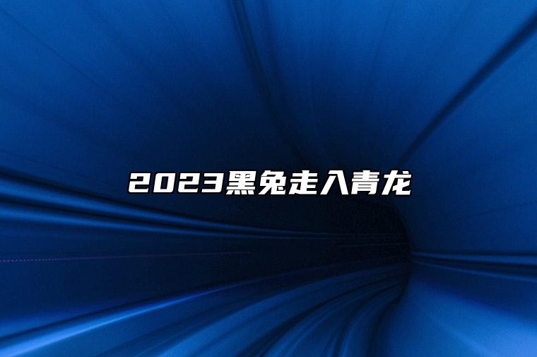 2023黑兔走入青龙 23年为什么是黑兔年