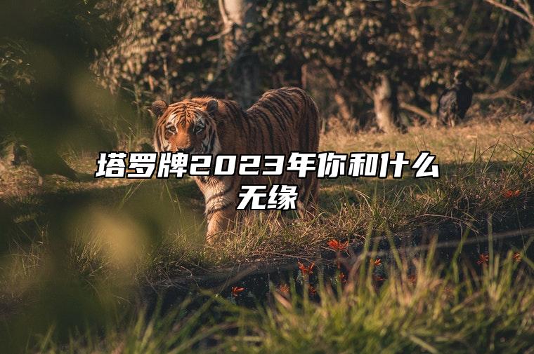 塔罗牌2023年你和什么无缘 2023年塔罗牌占卜暧昧关系