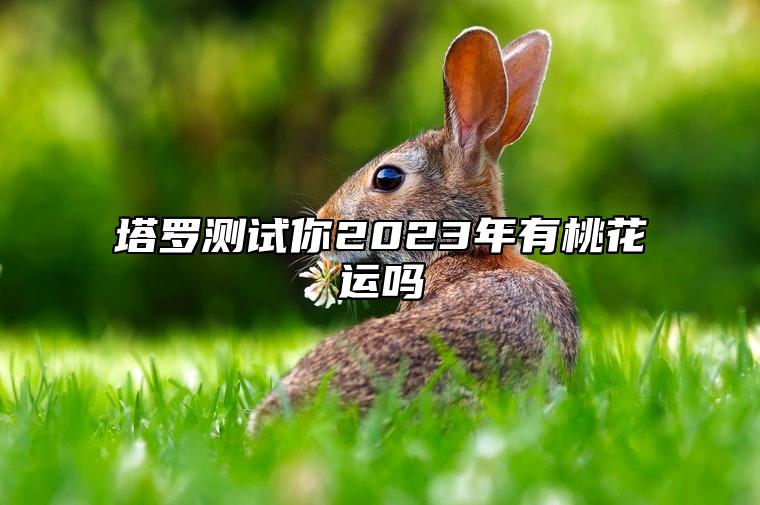 塔罗测试你2023年有桃花运吗？ 塔罗占卜我2023年桃花运