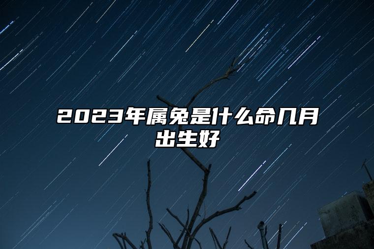 2023年属兔是什么命几月出生好 2023年属兔的是什么命几月份好