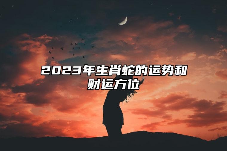 2023年生肖蛇的运势和财运方位 2023年生肖蛇的事业官运运势