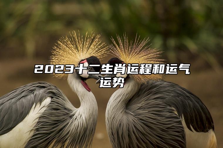 2023十二生肖運程和運氣運勢 如何解析2023年的生肖運程