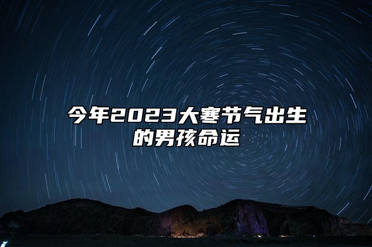 今年2023大寒节气出生的男孩命运