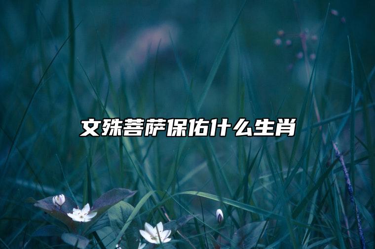 文殊菩萨保佑什么生肖 文殊菩萨保佑什么属相的人