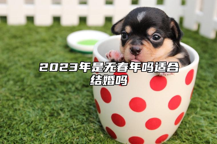 2023年是无春年吗适合结婚吗 2023年不适合结婚的属相