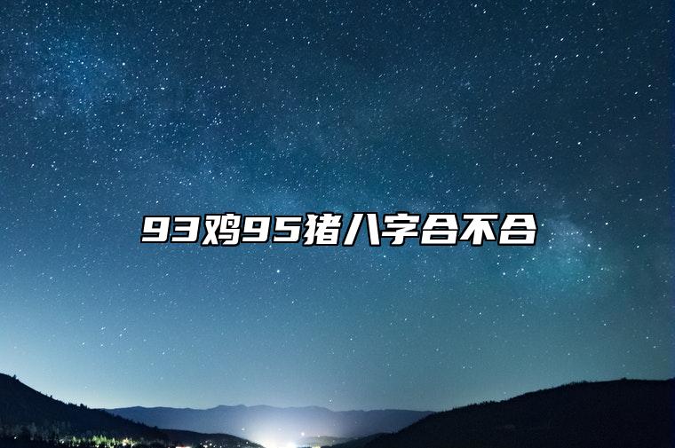 93雞95豬八字合不合 93雞2023年運勢