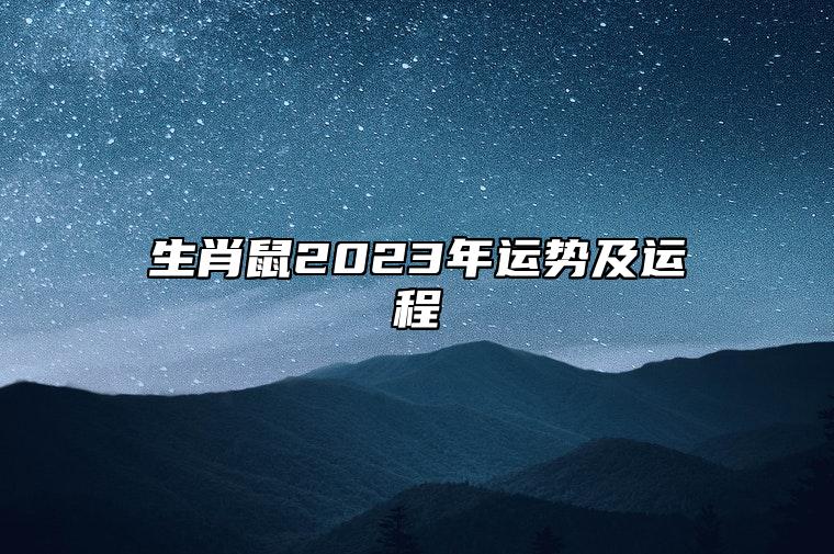 生肖鼠2023年運勢及運程 財富吉星照耀且感情有紅鸞桃花