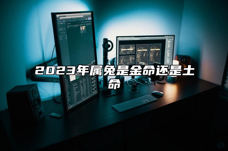 2023年属兔是金命还是土命 2023年是什么兔年金木水火土