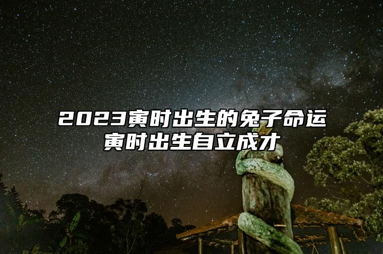 2023寅时出生的兔子命运寅时出生自立成才