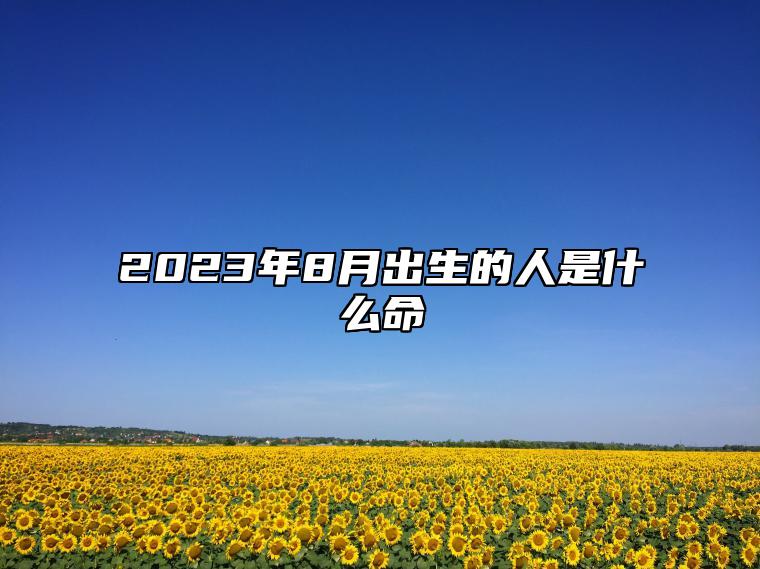 2023年8月出生的人是什么命 8月出生的人性格怎么样