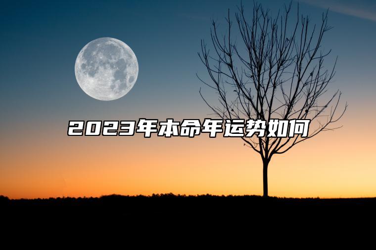 2023年本命年运势如何 属兔人本命年运势完整版