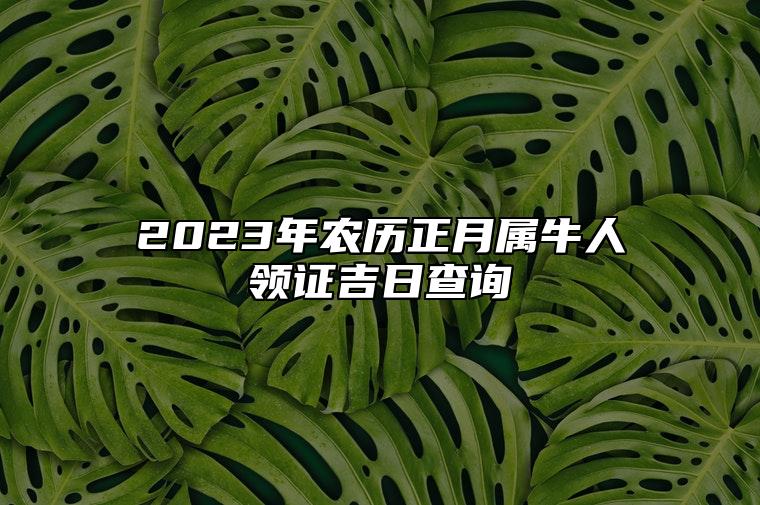 2023年农历正月属牛人领证吉日查询 2023年正月领证的黄道吉日