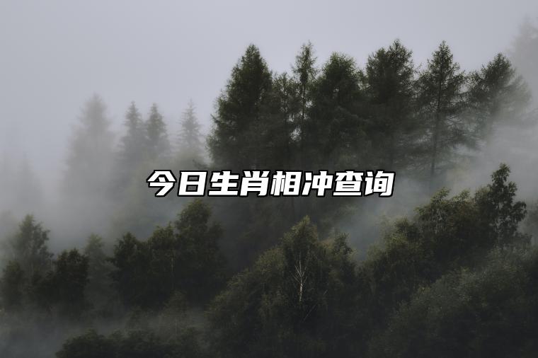 今日生肖相冲查询 2023年5月20日农历四月初二