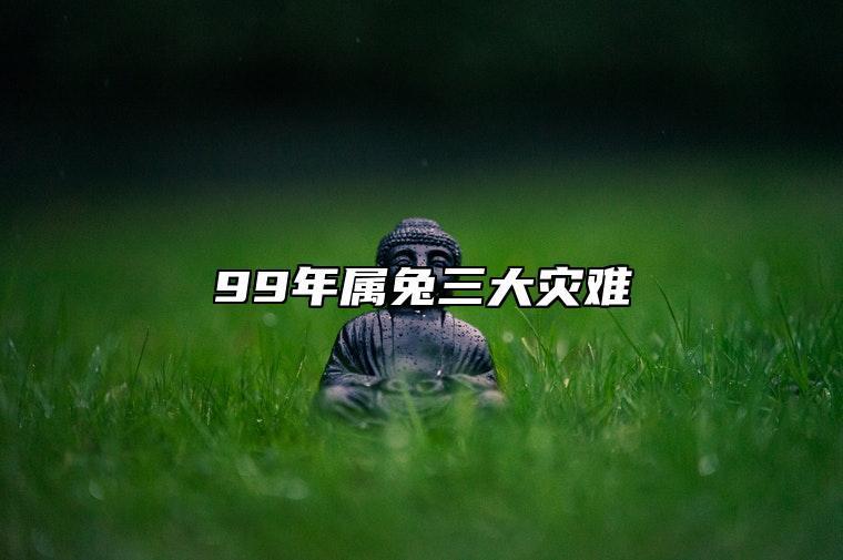 99年屬兔三大災難 99年屬兔命裡缺啥