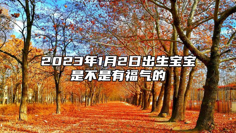 2023年1月2日出生宝宝是不是有福气的