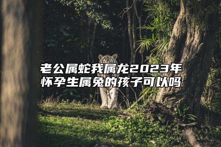 老公属蛇我属龙2023年怀孕生属兔的孩子可以吗？