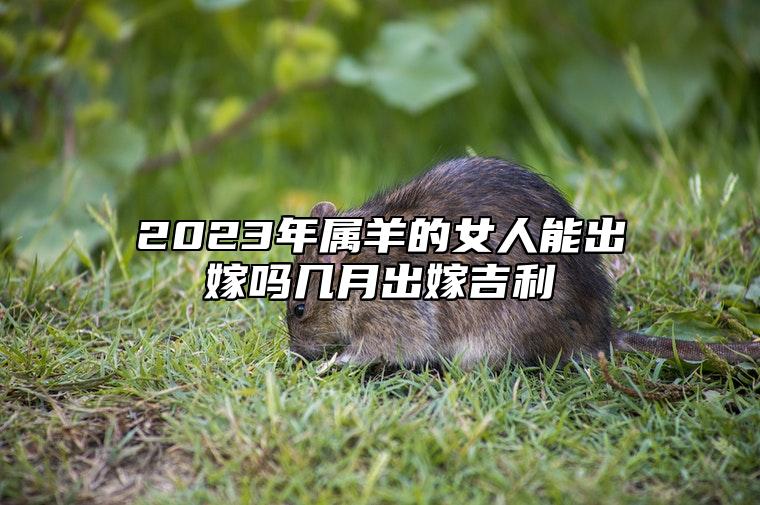 2023年属羊的女人能出嫁吗？几月出嫁吉利