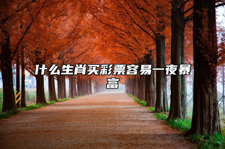 什么生肖买彩票容易一夜暴富 2023年会发横财的生肖