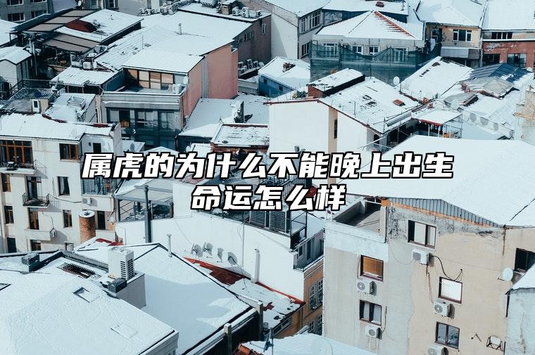 属虎的为什么不能晚上出生？命运怎么样？