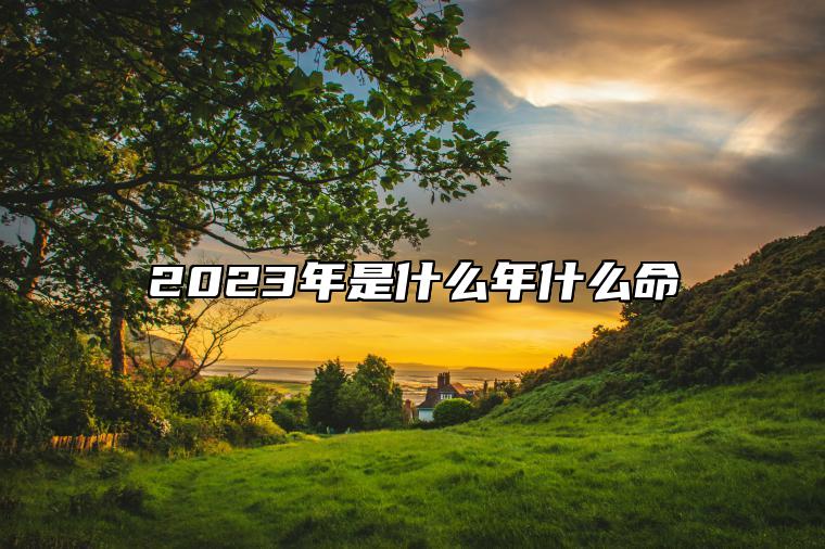 2023年是什么年什么命