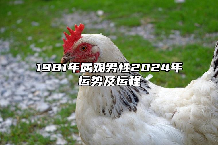 81年属鸡的是什么命图片