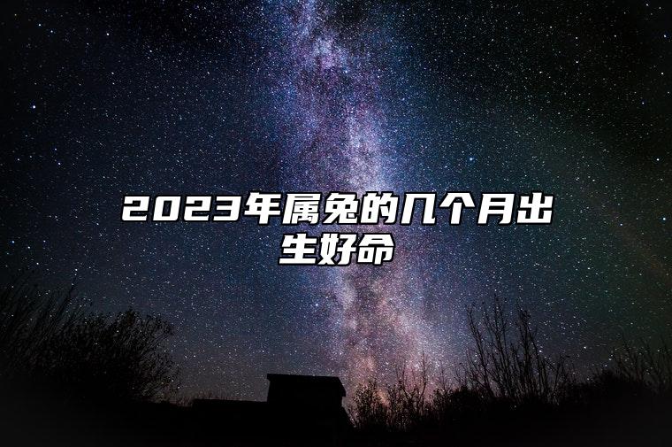 2023年属兔的几个月出生好命 2023年属兔的几个月出生好啊