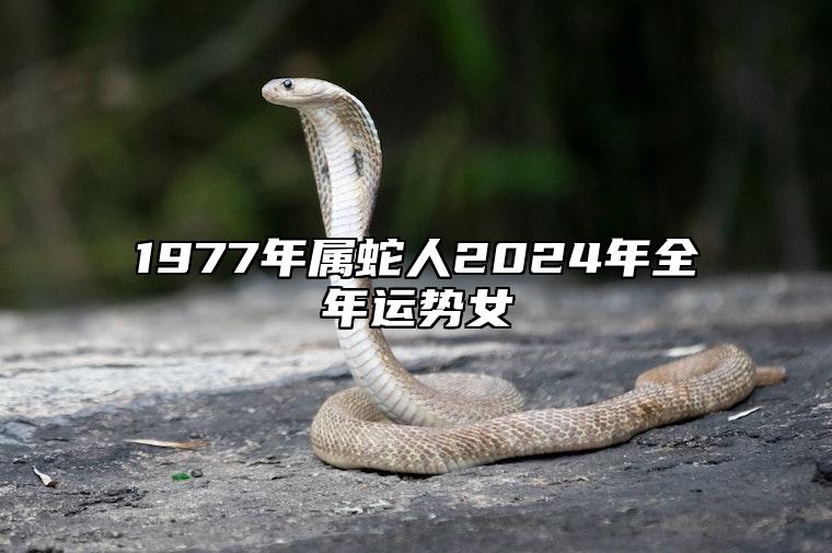 1977年属蛇人2024年全年运势女 77年属蛇2024年运势及运程
