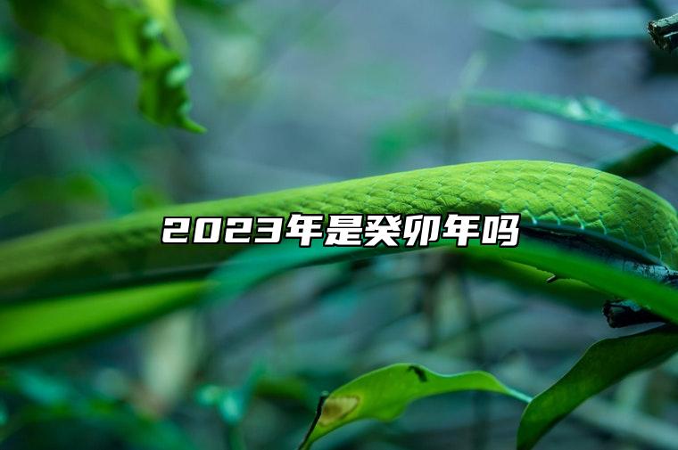 2023年是癸卯年吗 癸卯年出生的人是什么命