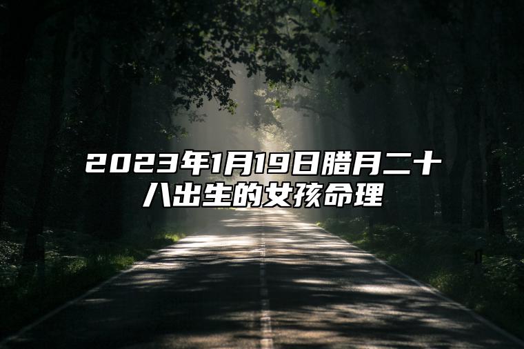 2023年1月19日腊月二十八出生的女孩命理 财运得亨通