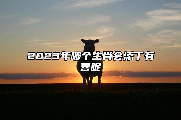 2023年哪个生肖会添丁有喜呢