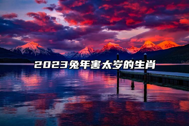 2023兔年害太岁的生肖 运势波动遇见阻力