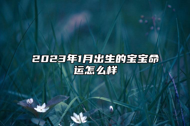 2023年1月出生的宝宝命运怎么样 本月出生宝宝性格