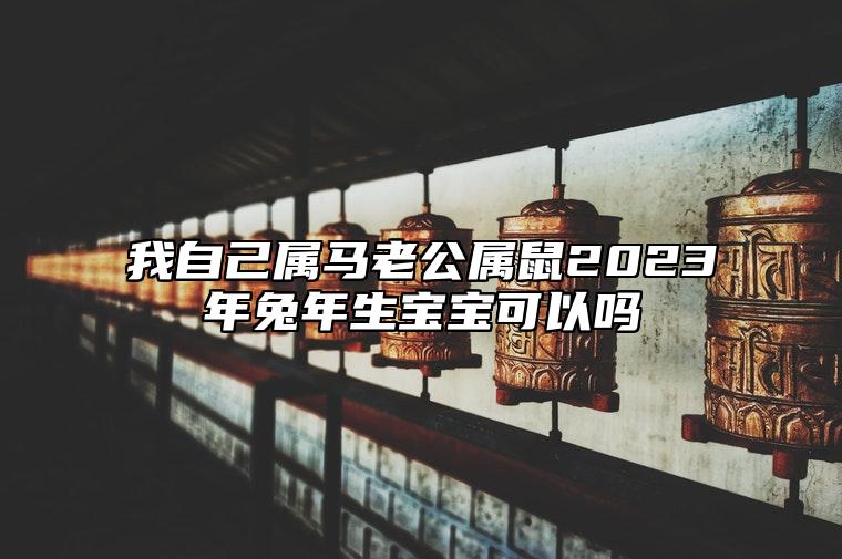 我自己属马老公属鼠2023年兔年生宝宝可以吗？