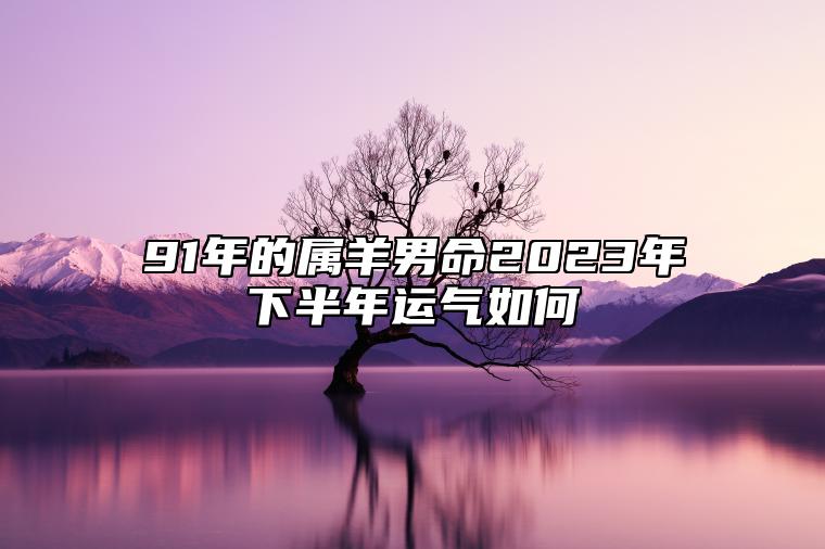 91年的属羊男命2023年下半年运气如何