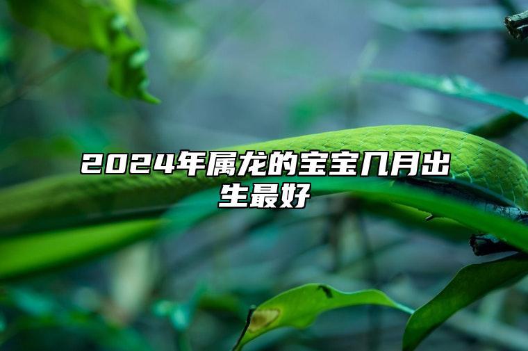 2024年属龙的宝宝几月出生最好 为什么不建议生龙宝宝