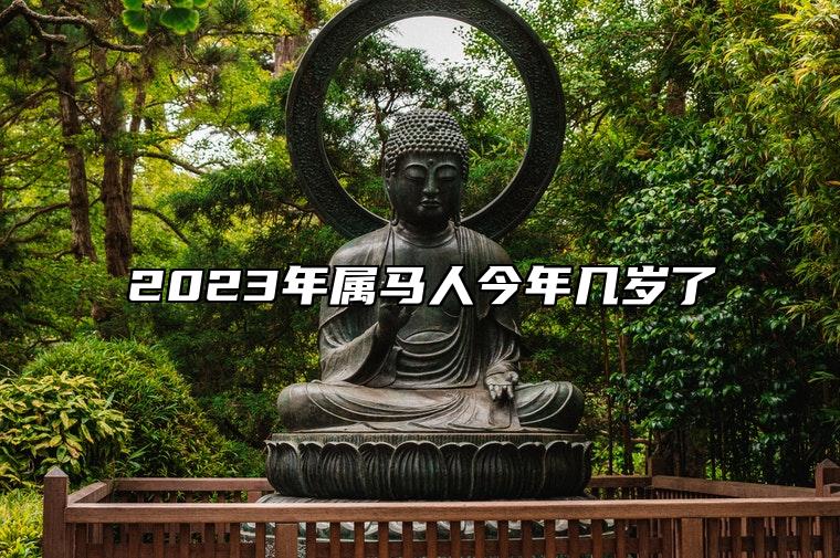 2023年属马人今年几岁了 2023年的属马人事业发展旺盛