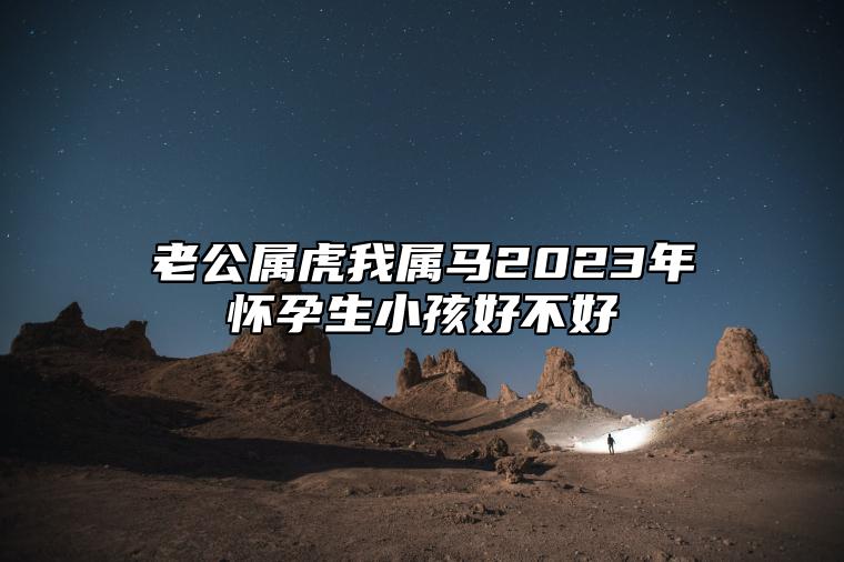 老公属虎我属马2023年怀孕生小孩好不好？