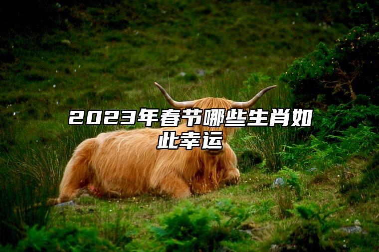 2023年春节哪些生肖如此幸运 2023年有喜事的生肖