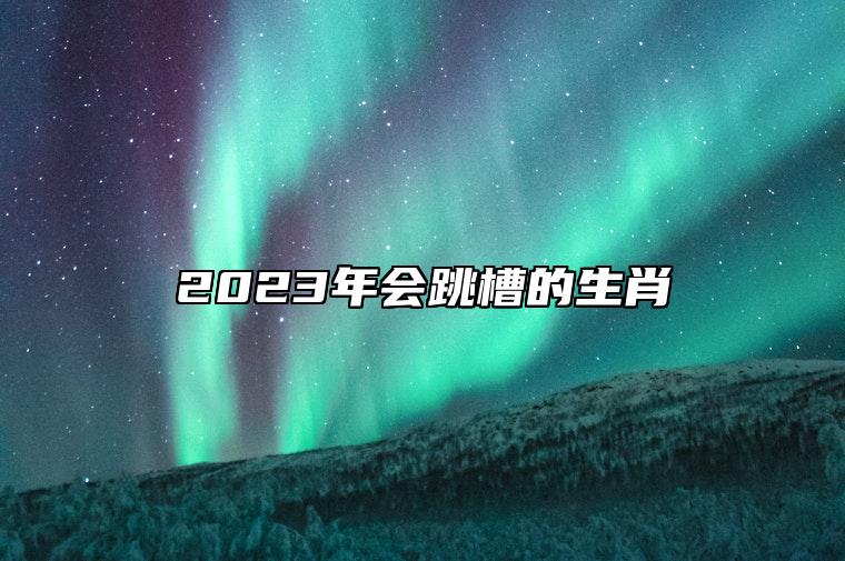 2023年会跳槽的生肖 2023生肖龙事业运势受冲击