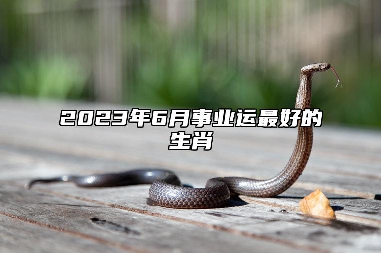 2023年6月事业运最好的生肖 这三个生肖升官发财不在话下